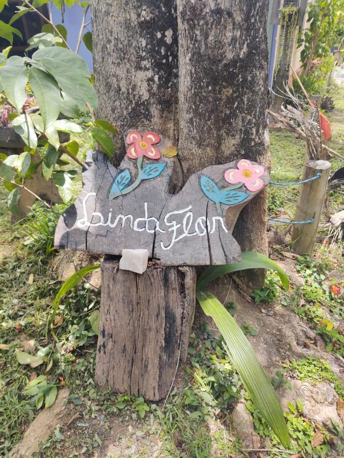Alto Paraíso de GoiásPousada Linda Flor住宿加早餐旅馆 外观 照片
